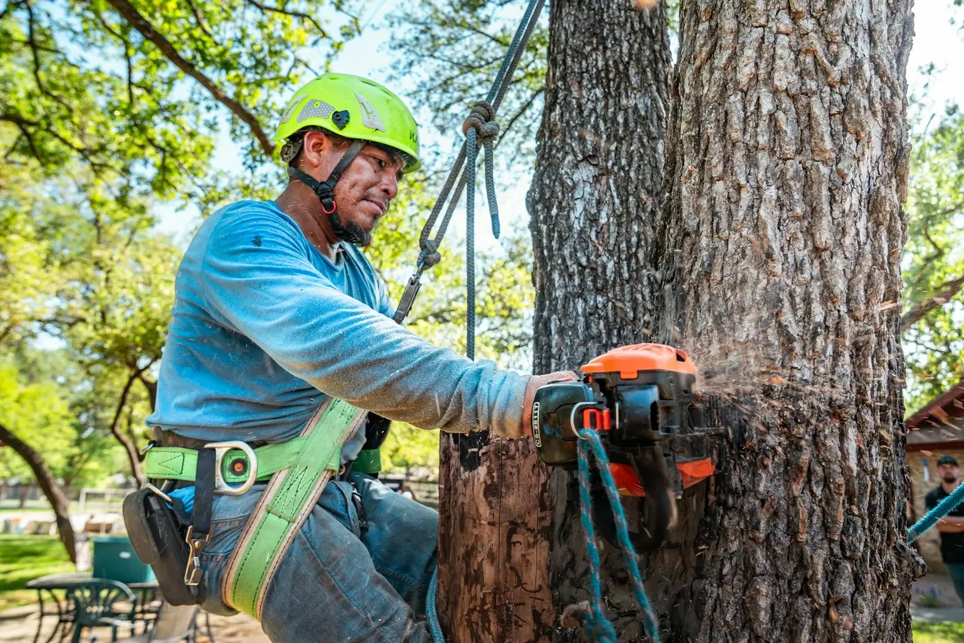 An arborist cutting through a tree trunk with a chainsaw