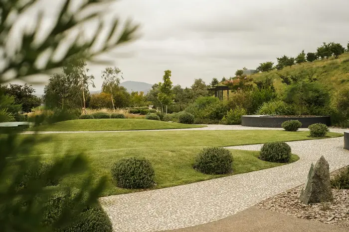A wide lawn with shaped shrubs and a gravel path
